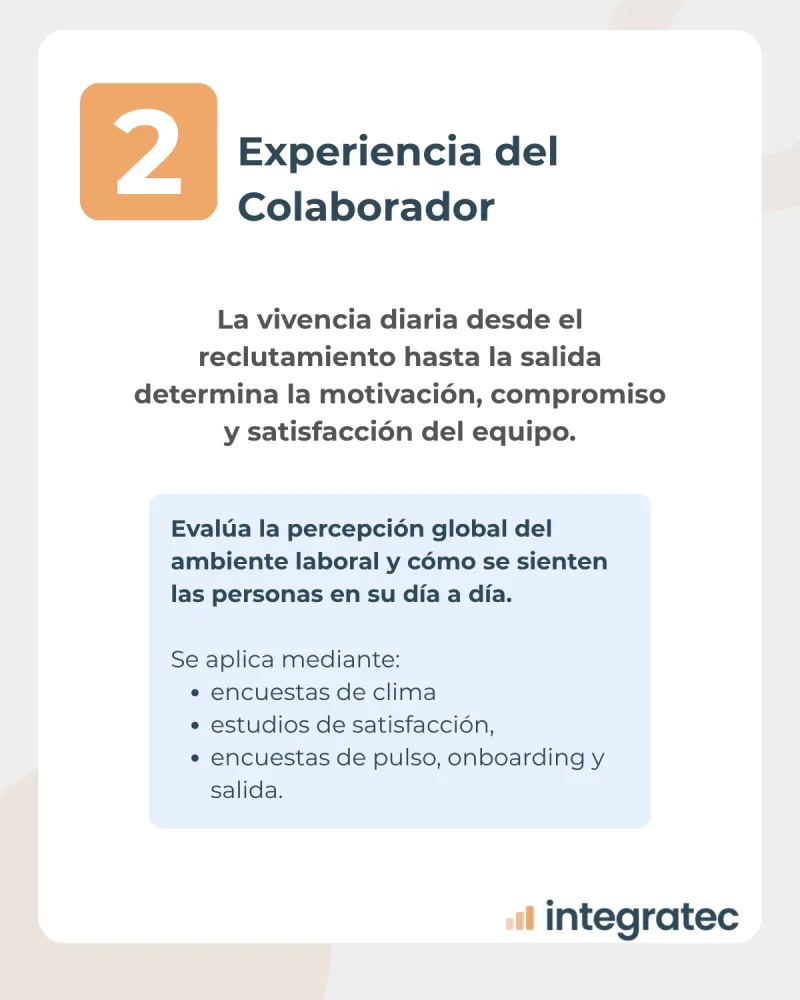 Nivel 2 de la evaluación organizacional: experiencia del colaborador y compromiso