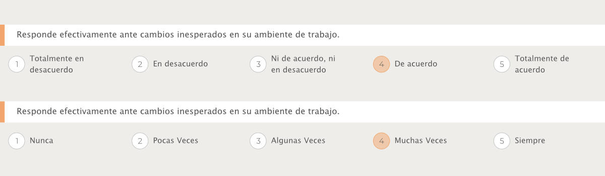 Evaluaciones 360 Escalas